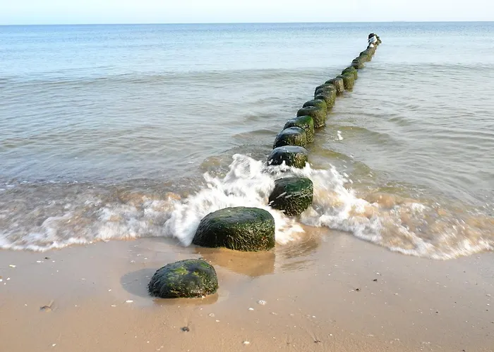 아파트 Haus Rolandseck - 03 제바트헤링스도르프